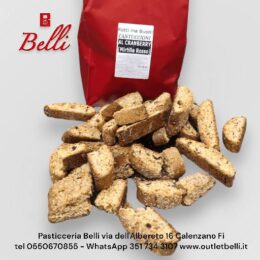 Cantuccioni Cranberry 1 kg Rotti e Buoni